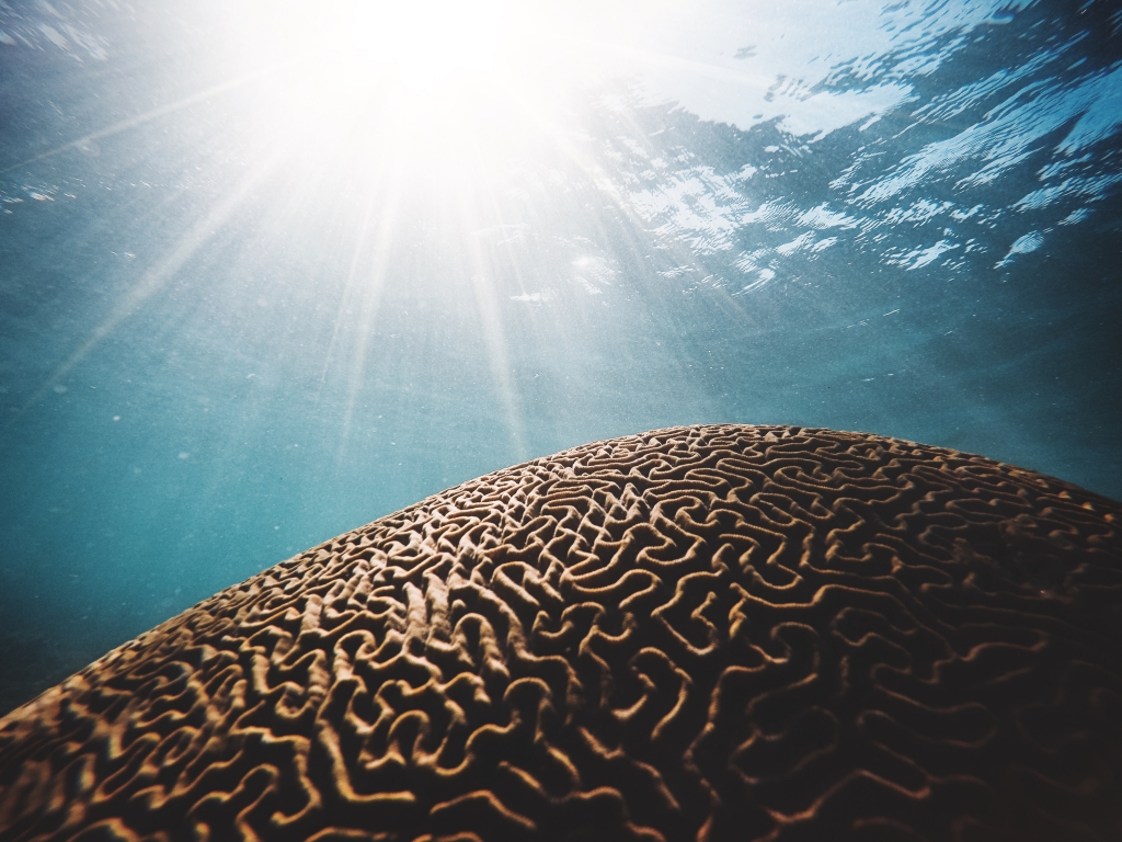 daniel-hjalmarsson-41Wuv1xsmGM-unsplash